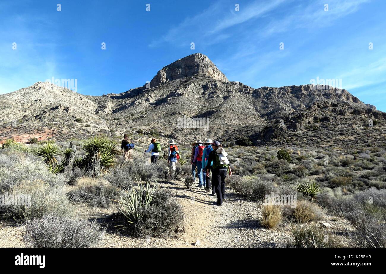 Gli escursionisti seguire il picco Turtlehead sentiero di montagna Turtlehead al Red Rocks Canyon National Conservation Area 5 gennaio 2015 vicino a Las Vegas, Nevada. Foto Stock