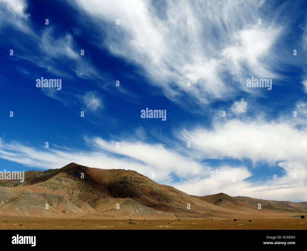 Appendere le nuvole nel cielo sopra le aride gamma Sonoma al Red Rock Canyon National Conservation Area 17 giugno 2015 vicino a Las Vegas, Nevada. Foto Stock