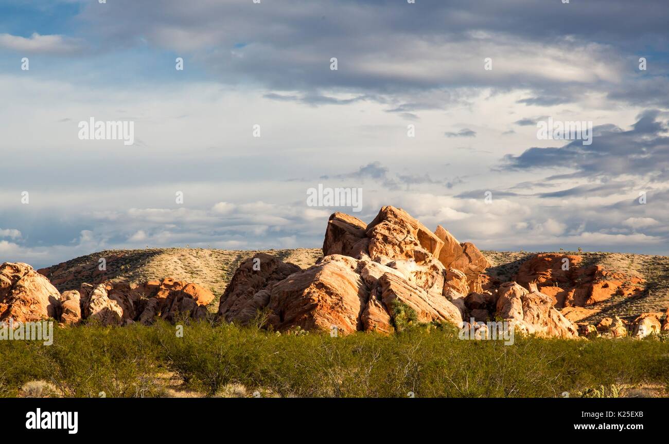 Roccia Arenaria striature compongono il Whitney tasche formazione al Gold Butte National Monument 27 Settembre 2016 vicino a Mesquite, Nevada. Foto Stock