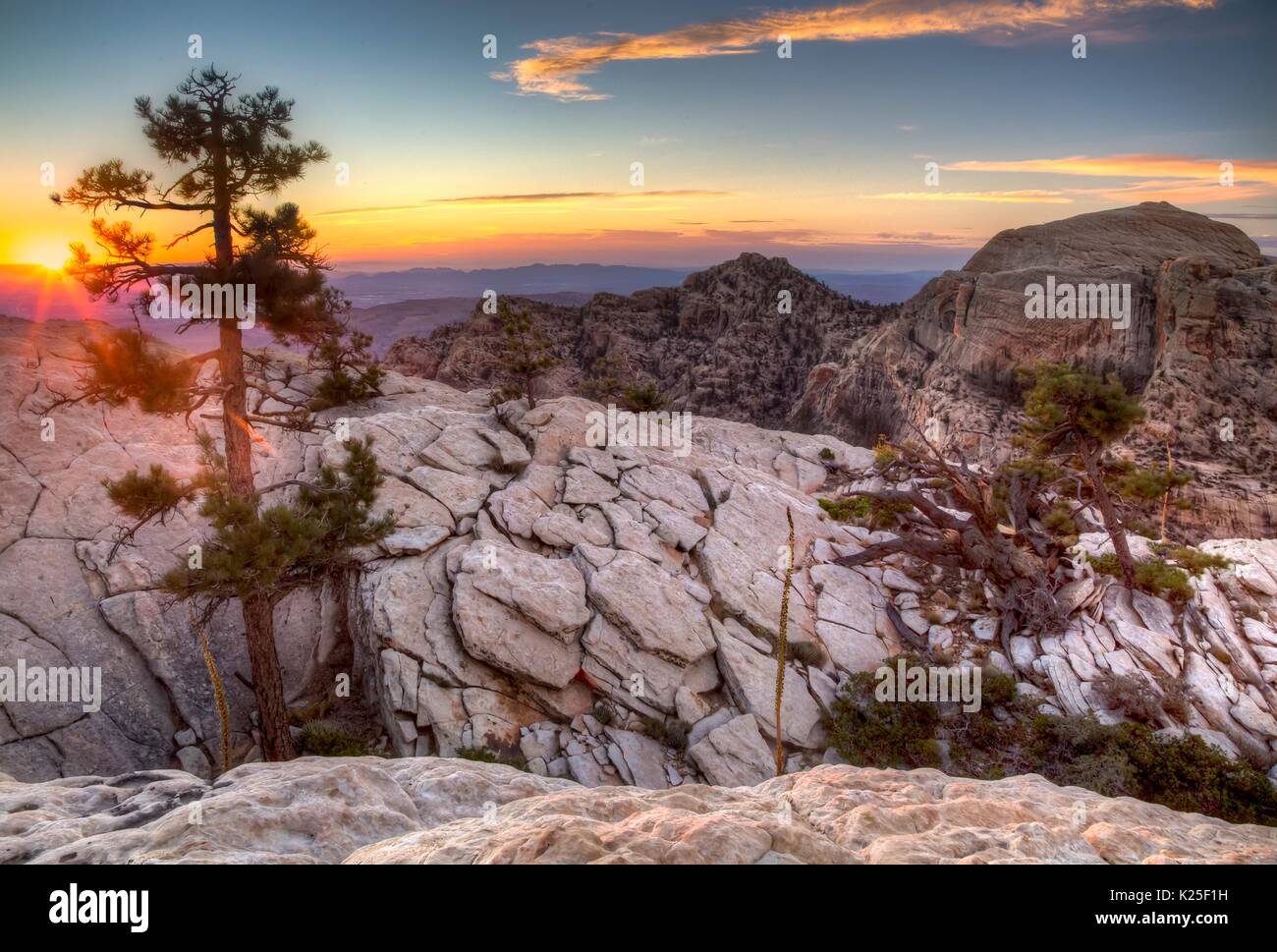Rosso formazioni di roccia al tramonto con un paio di pinyon pini al Red Rock Canyon National Conservation Area 27 Settembre 2016 vicino a Las Vegas, Nevada. Foto Stock