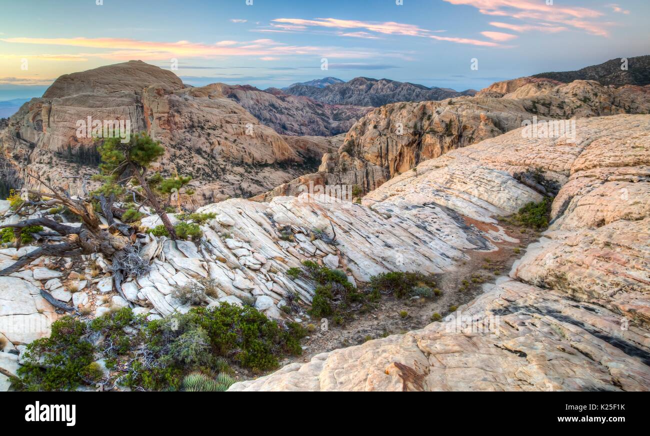 Red formazioni rocciose e pinyon pini al Red Rock Canyon National Conservation Area 27 Settembre 2016 vicino a Las Vegas, Nevada. Foto Stock