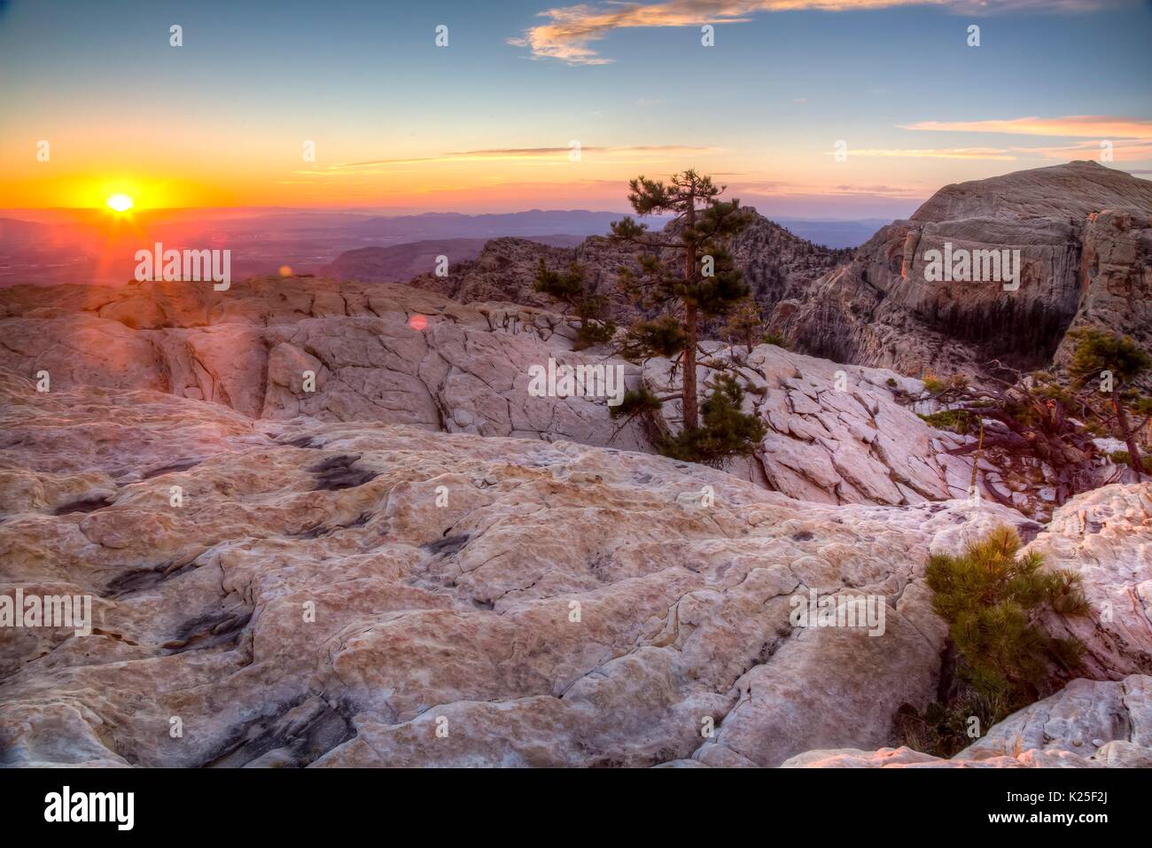 Rosso formazioni di roccia al tramonto con un paio di pinyon pini al Red Rock Canyon National Conservation Area 27 Settembre 2016 vicino a Las Vegas, Nevada. Foto Stock