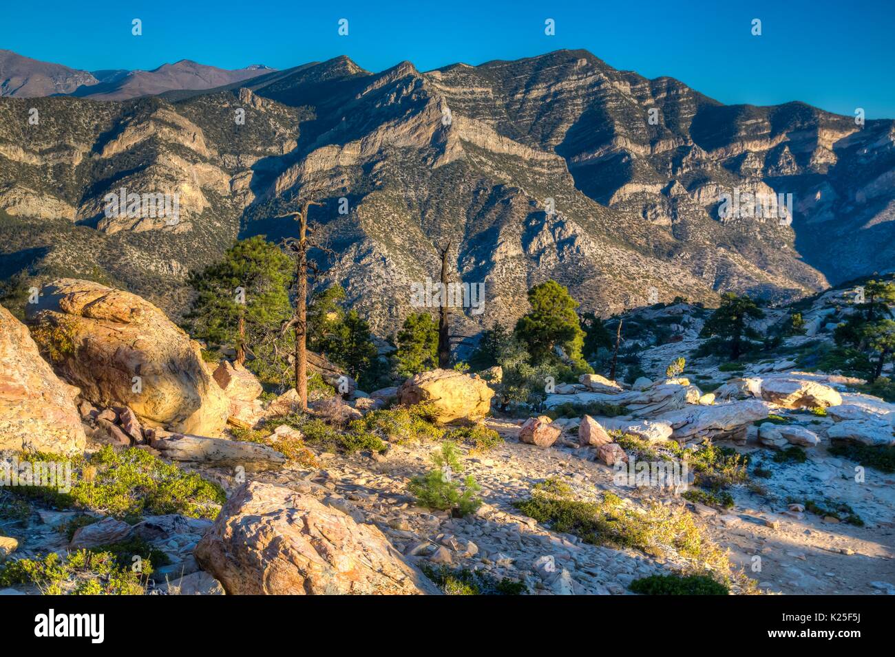 Canyon, creste e picchi di montagna e sparse pinyon pini al La Madre Mountain Wilderness entro il Red Rock Canyon National Conservation Area 27 Settembre 2016 vicino a Las Vegas, Nevada. Foto Stock