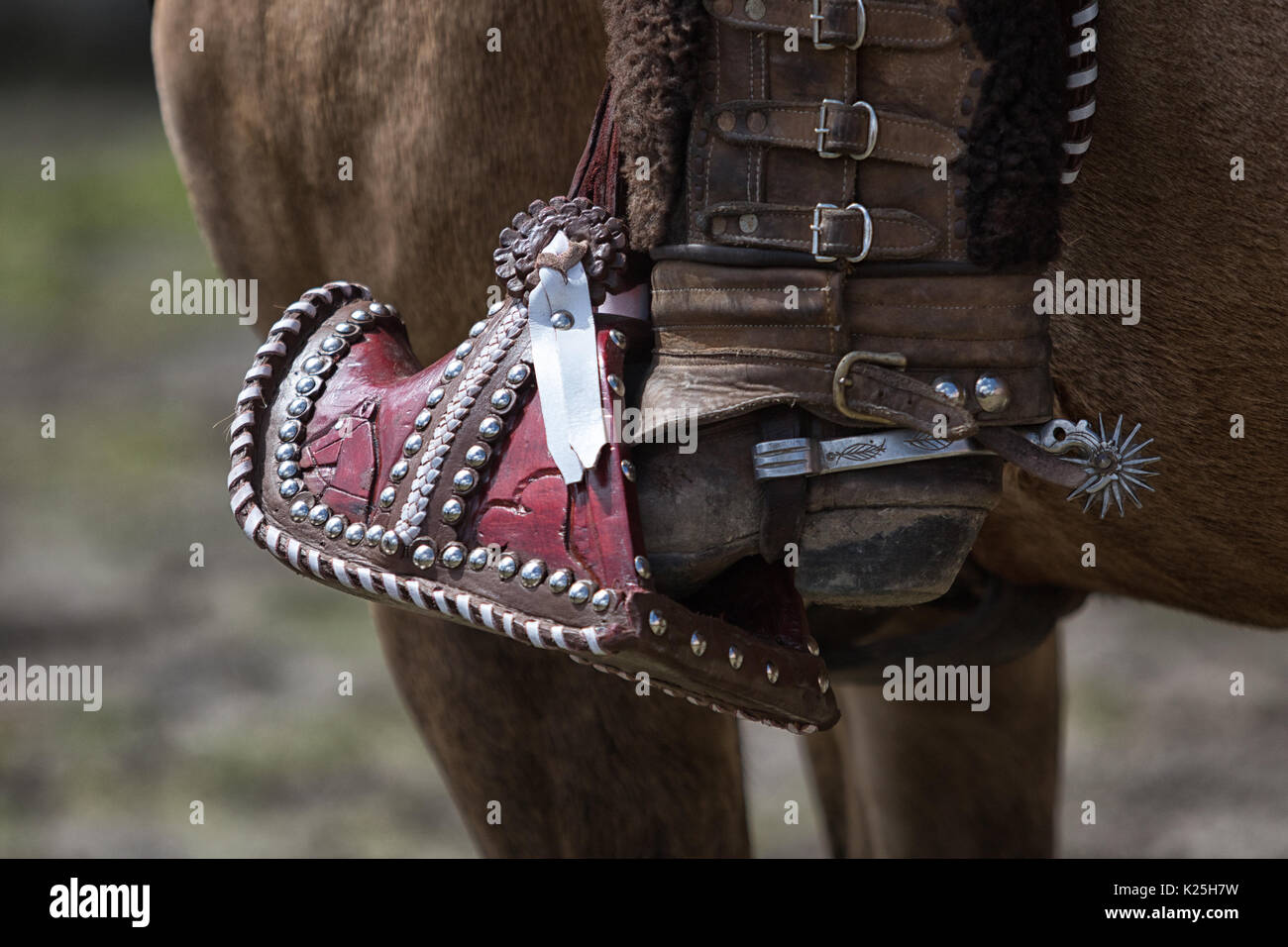 Giugno 10, 2017 Toacazo, Ecuador: piede di un cowboy locali attrezzati per il rodeo Foto Stock