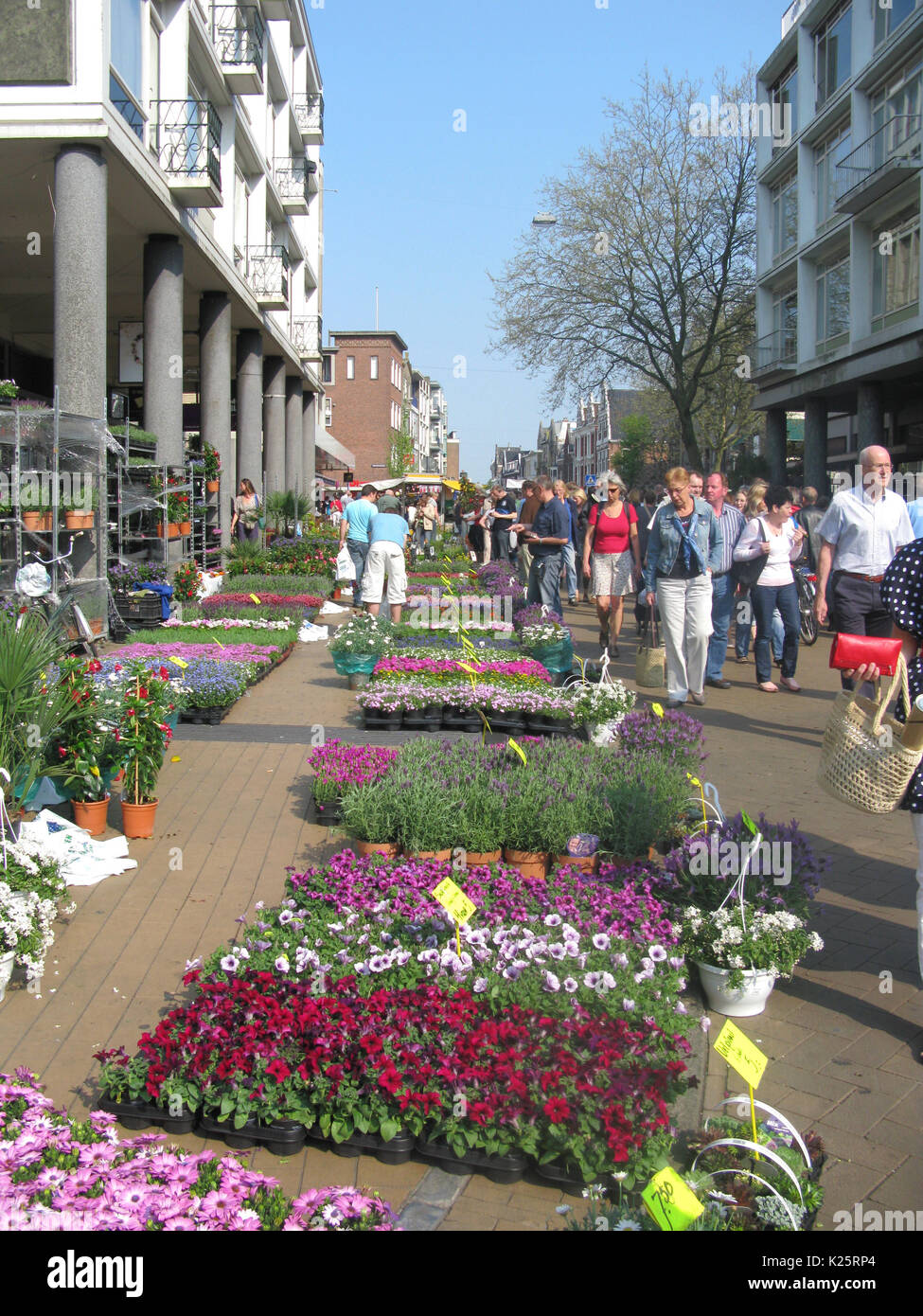 Le persone che ricercano le piante e fiori per la vendita sul mercato dei fiori annuali il Venerdì Santo a Groningen Foto Stock