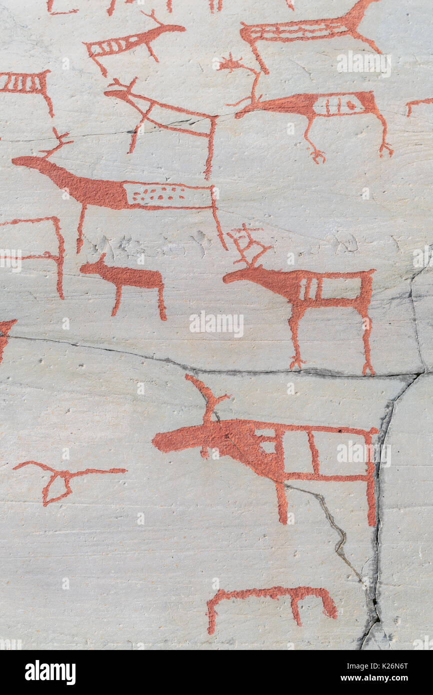Antiche incisioni rupestri immagini e fotografie stock ad alta