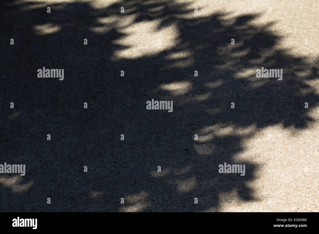 Lacune nella struttura lascia agire come un pinhole fotocamera, creazione unica forma di una mezzaluna pattern luminoso nelle ombre sul percorso durante il 2017 eclissi solare. Foto Stock