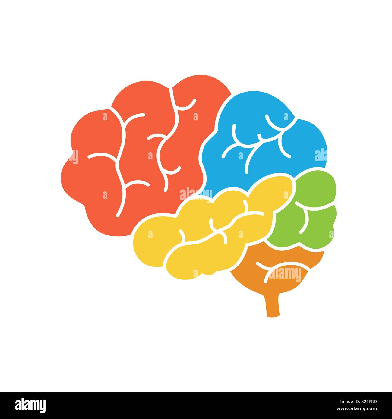 Un diagramma del cervello umano vista laterale, anatomia. Illustrazione Vettoriale nella piana di stile design Illustrazione Vettoriale