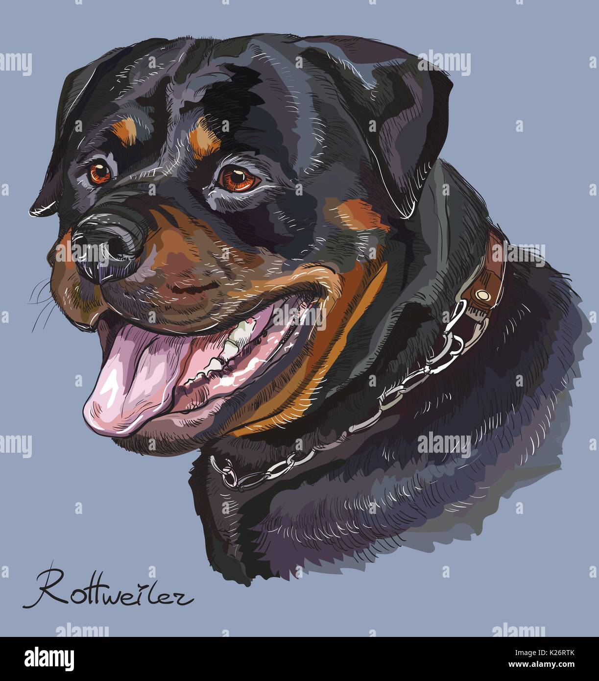 Rottweiler vettore di disegno a mano illustrazione in diversi colori su sfondo blu Illustrazione Vettoriale