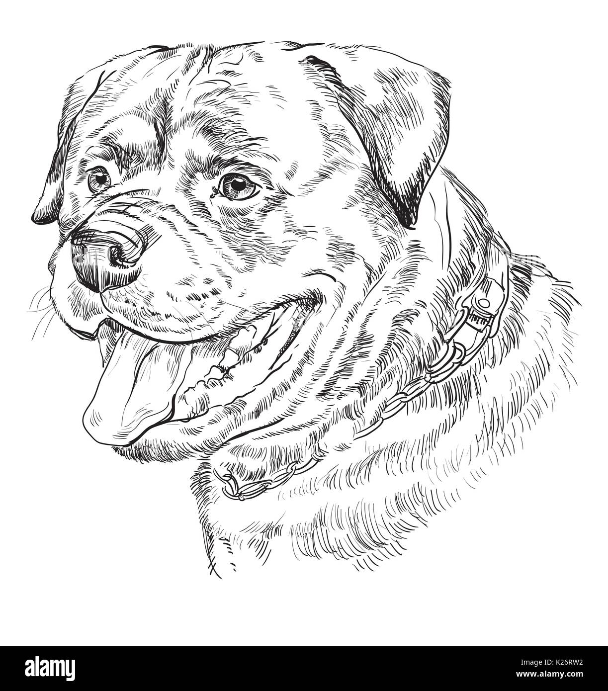 Rottweiler vettore del disegno a mano illustrazione monocromatica isolati su sfondo bianco Illustrazione Vettoriale