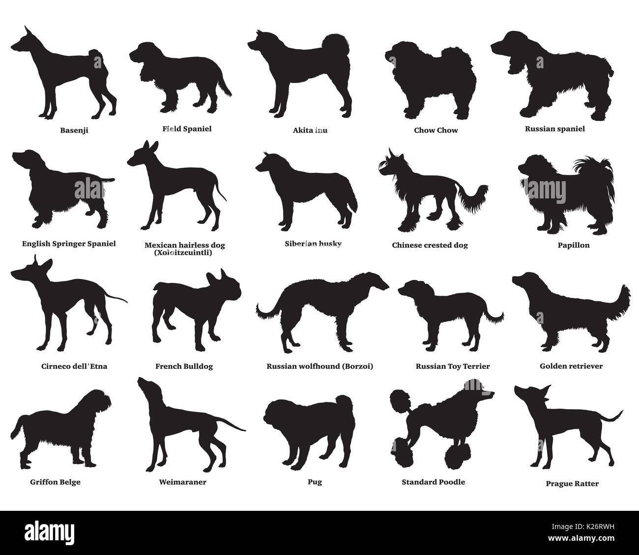 Set di vettore di diverse razze di cani sagome isolati in colore nero su sfondo bianco. Parte 3 Illustrazione Vettoriale