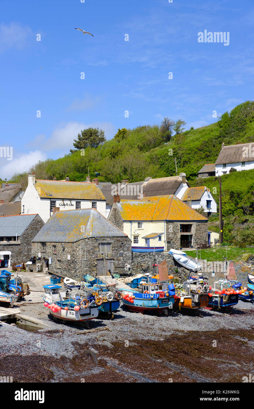 Porto di pesca, Cadgwith, penisola di Lizard, Cornwall, England, Regno Unito Foto Stock