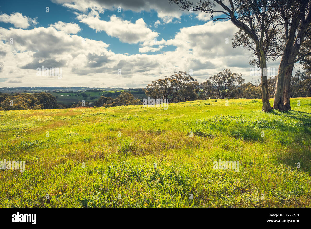 Adelaide Hills regione paesaggio visto dalla Woodside, Sud Australia Foto Stock