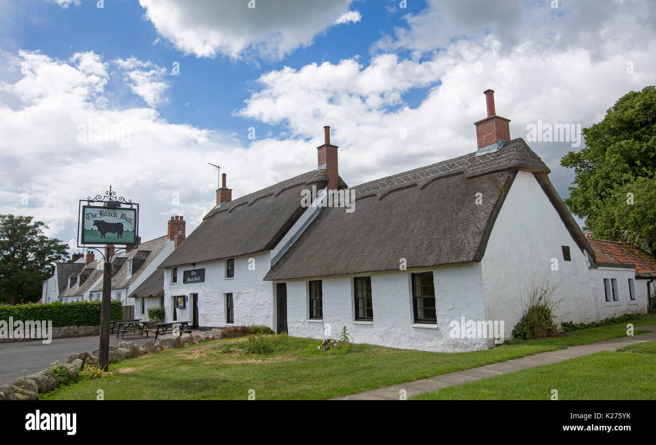 Pub inglese tradizionale, il toro nero, con pareti dipinte di bianco e tetti in paglia nel villaggio inglese di metalli, Northumberland. Foto Stock