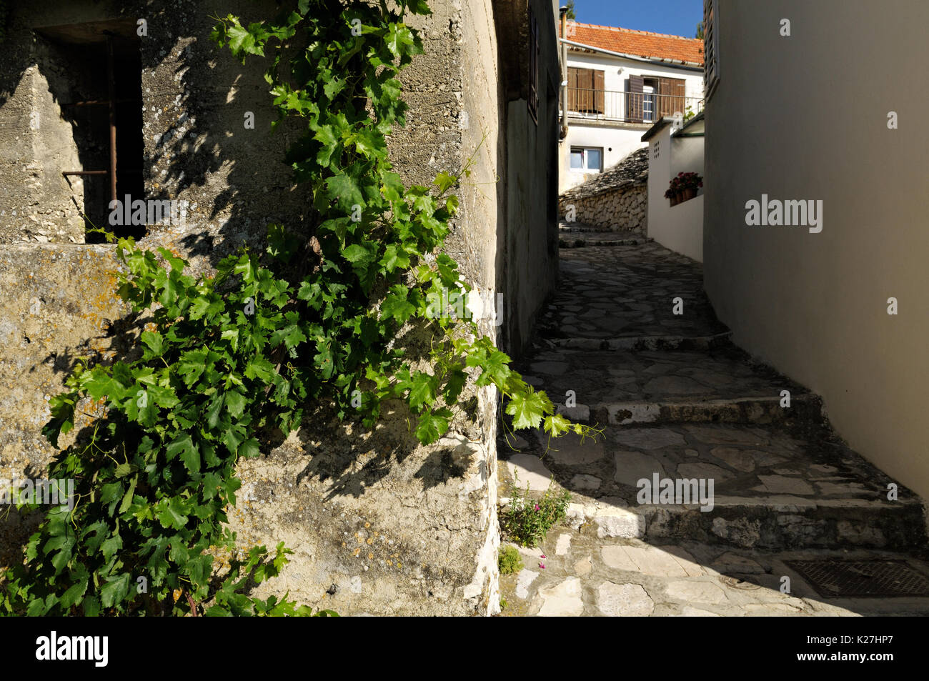 Vigneto e vicolo nella vecchia città di Primosten, Croazia Foto Stock