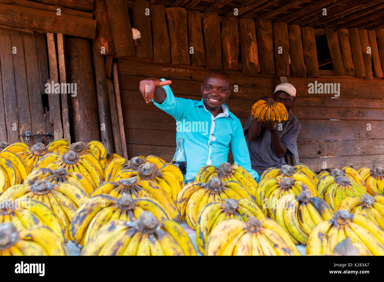 Africa,Malawi,Lilongwe distretto. Il mercato della banana Foto Stock