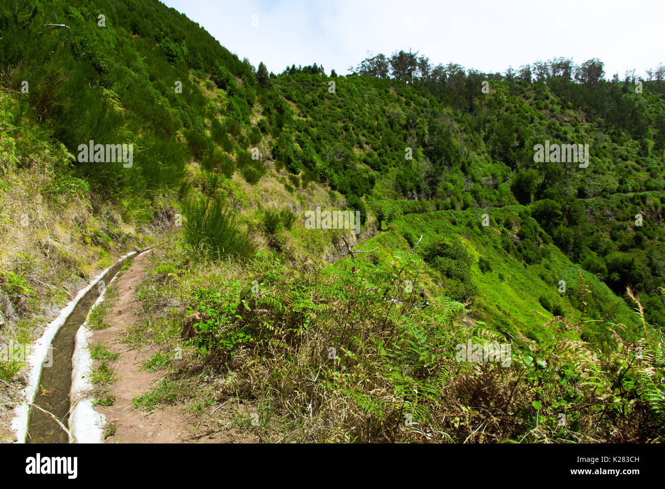 Uno splendido scenario dell'isola di Madeira mentre facendo una camminata di levada. Un'escursione che vi permette di prendere la più splendida natura fotografia Foto Stock