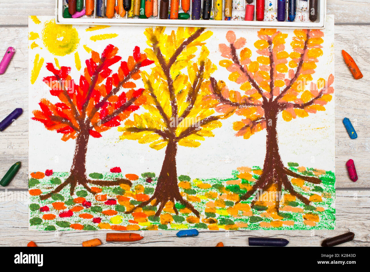Foto Del Disegno Colorato Paesaggio Autunnale Alberi Con