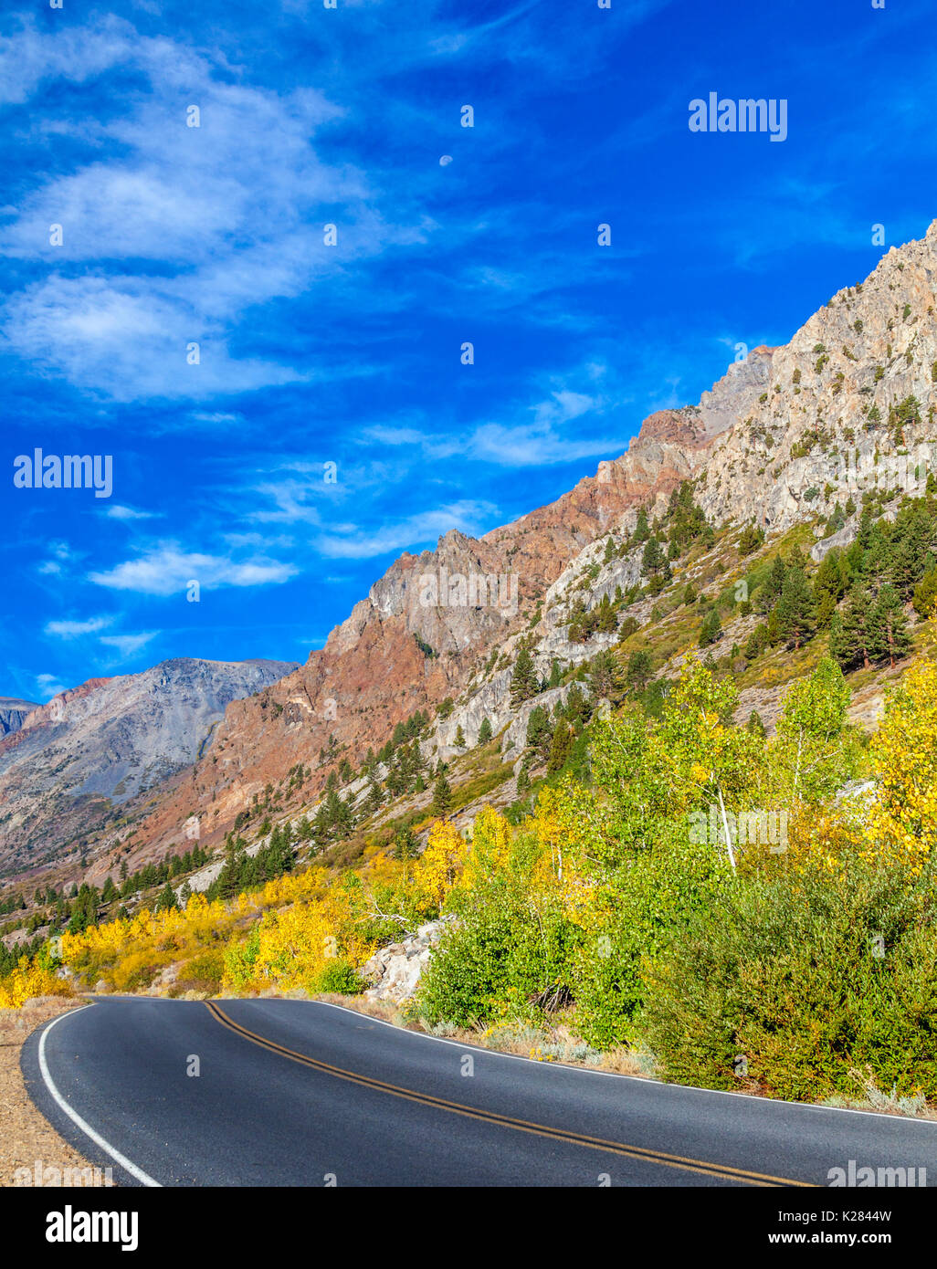 Colorate lascia cadere accanto alla strada che conduce in Lundy Canyon nella parte orientale della Sierra Nevada in California Foto Stock