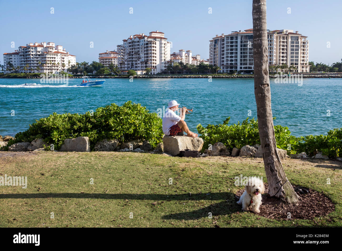 Miami Beach Florida,South Pointe Park,Urban Park,Government Cut,Waterfront,Fisher Island,man men maschio,dog,playing tromba horn,FL170430241 Foto Stock