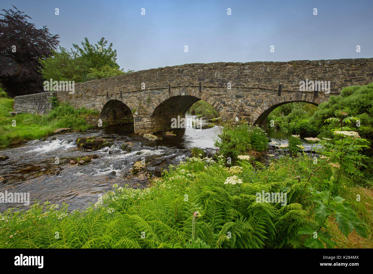Patrimonio storico del XVIII secolo in pietra ad arco ponte East Dart, affluente del fiume Dart, vicino al villaggio di Postbridge, Parco Nazionale di Dartmoor, Inghilterra Foto Stock