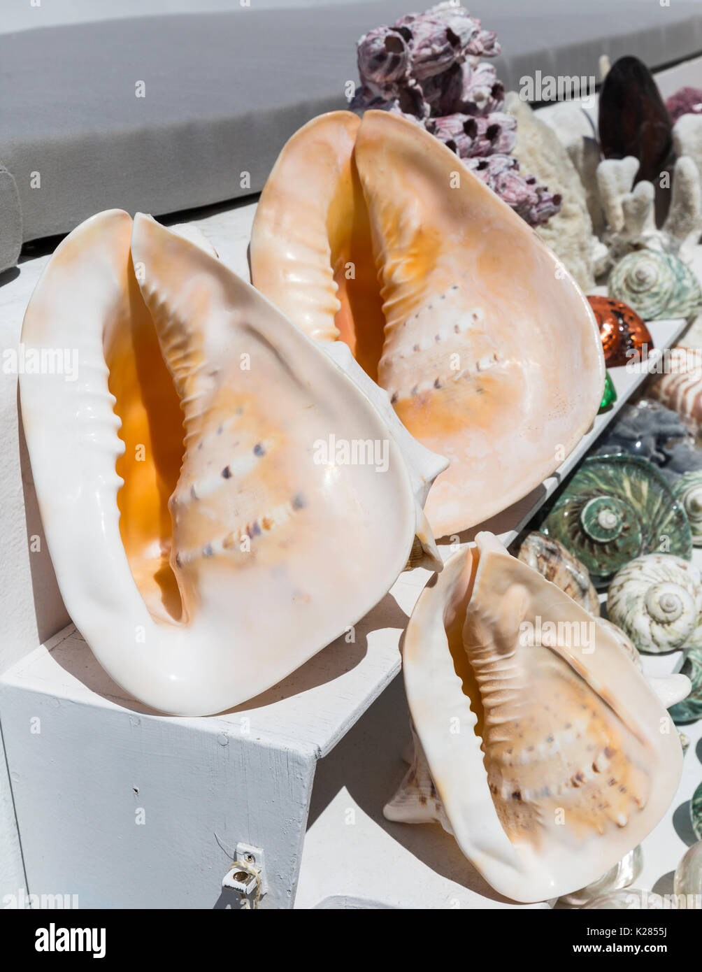 Negozio di souvenir conchiglie di vendita ai turisti, Mykonos, Cicladi  Grecia Foto stock - Alamy