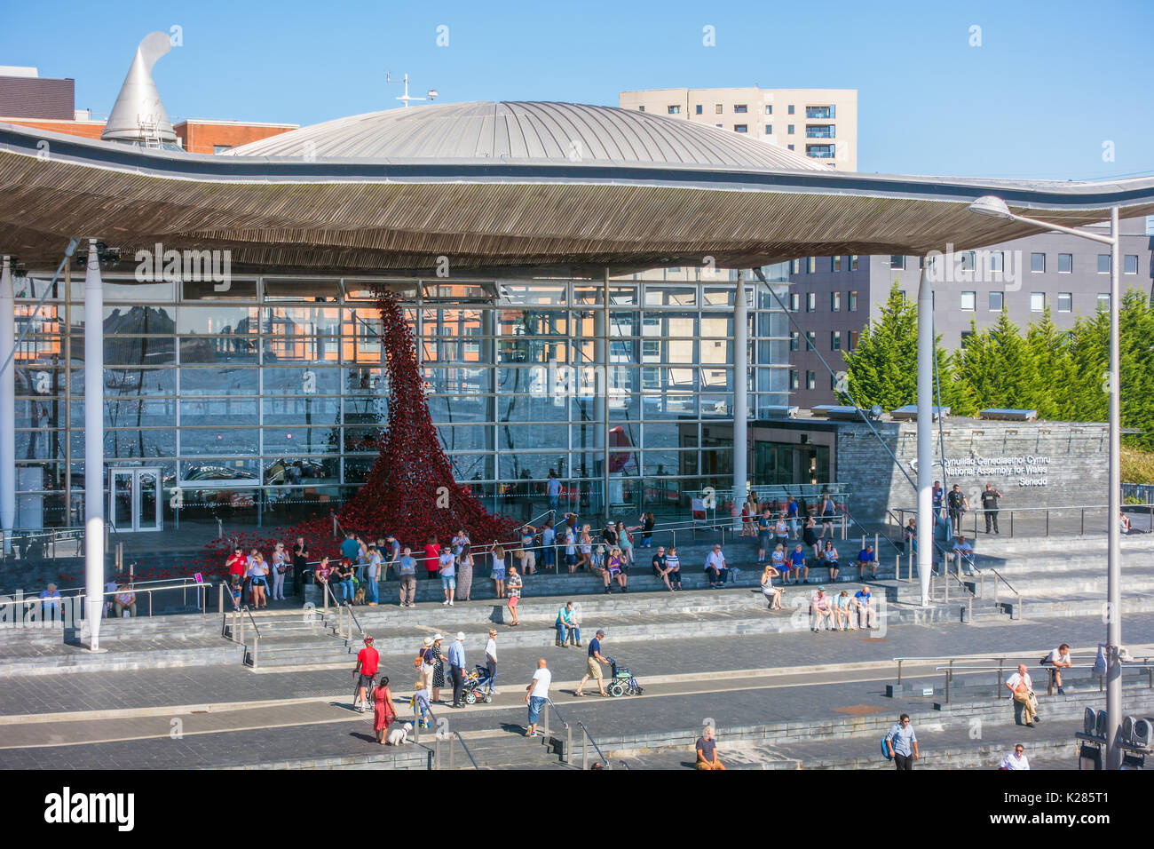 CARDIFF/UK - 27 agosto : Papaveri riversando fuori del Welsh Assembly Building a Cardiff il 27 agosto 2017, la gente non identificato Foto Stock