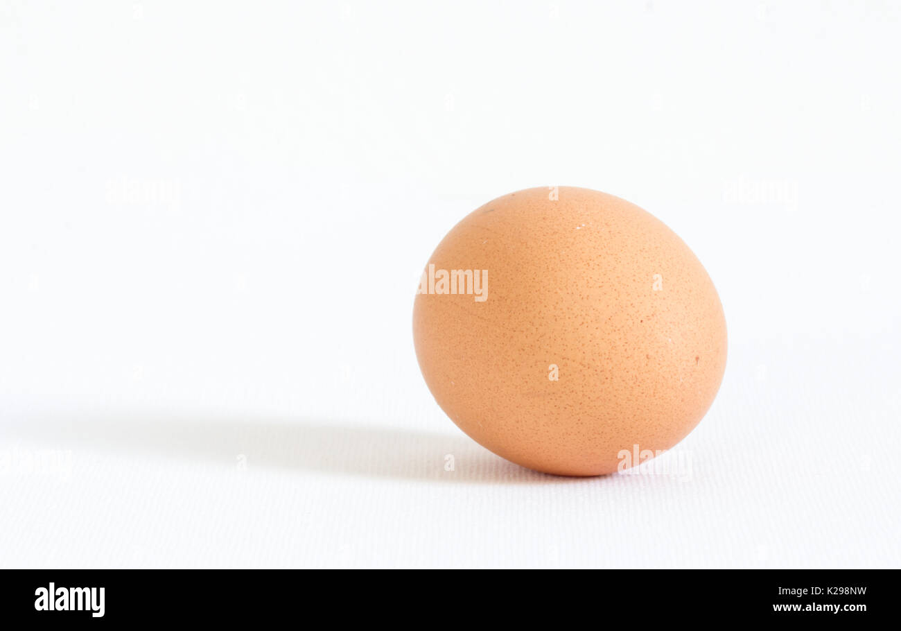 Un uovo su sfondo bianco Foto Stock