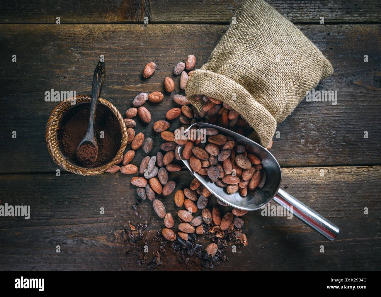 Organici di cacao in polvere in un recipiente e le fave di cacao nel convogliatore Foto Stock