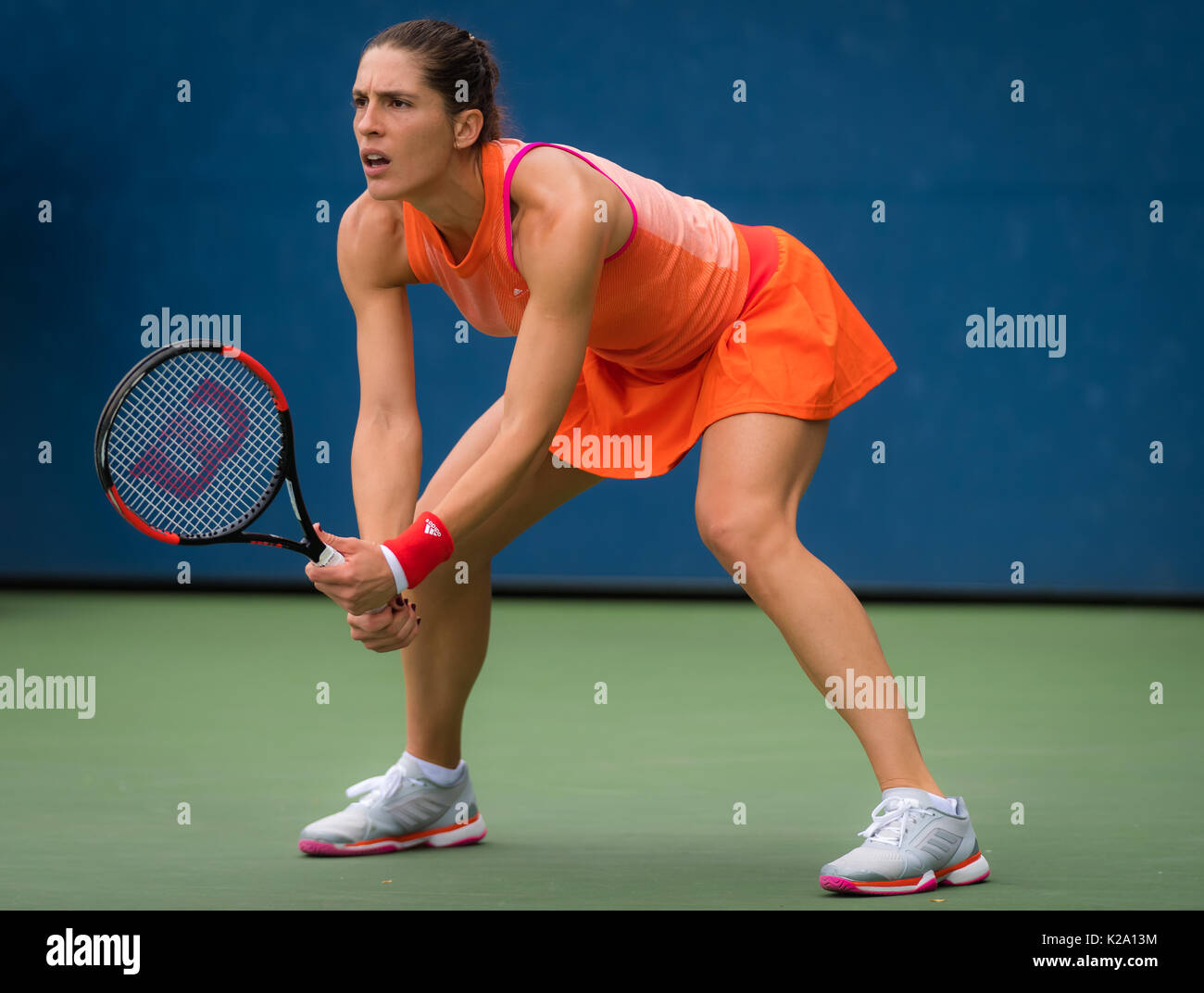 La città di New York, Stati Uniti. 29 Agosto, 2017. Andrea Petkovic di Germania al 2017 US Open Grand Slam Tennis Tournament © Jimmie48 Fotografia/Alamy Live News Foto Stock