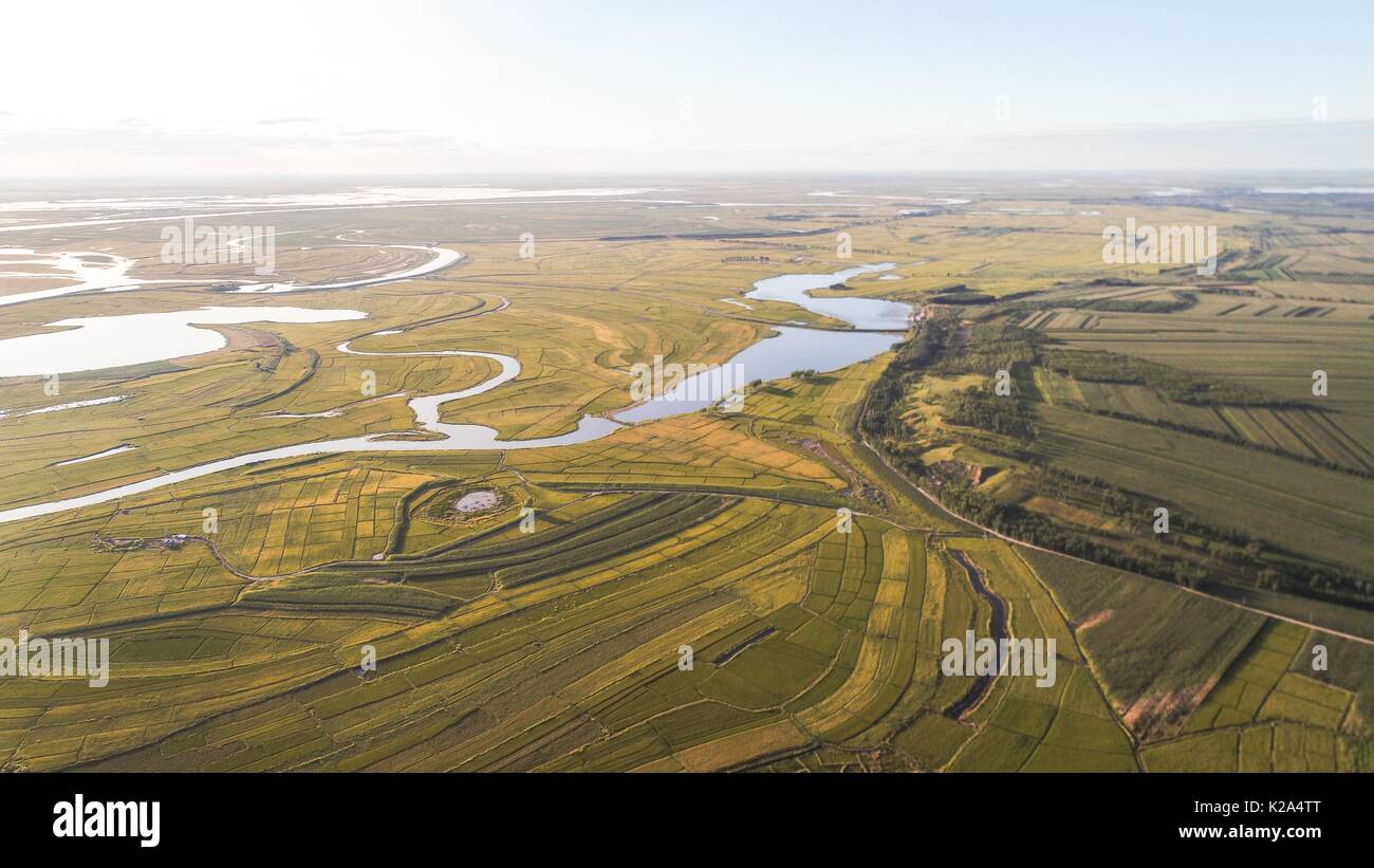 Daqing. Il 30 agosto, 2017. Foto scattata su agosto 30, 2017 mostra i campi di riso in Yaoxin Township, mongola contea autonoma di Dorbod, a nord-est della Cina di Heilongjiang provincia. Il riso qui entra la stagione di mietitura. Credito: Wang Song/Xinhua/Alamy Live News Foto Stock