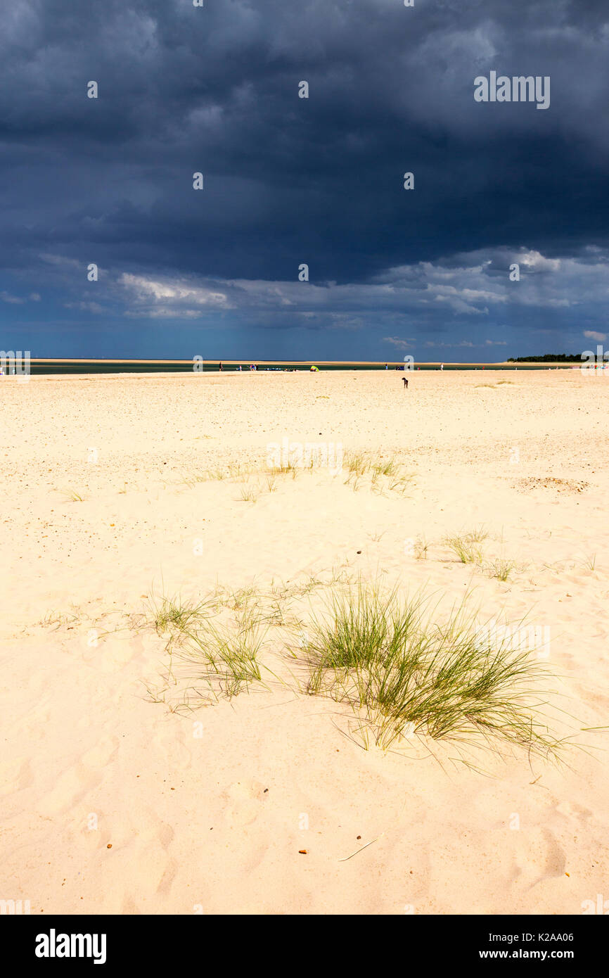 Dark nuvole temporalesche con pioggia su Holkham Beach, Norfolk, Regno Unito. Foto Stock
