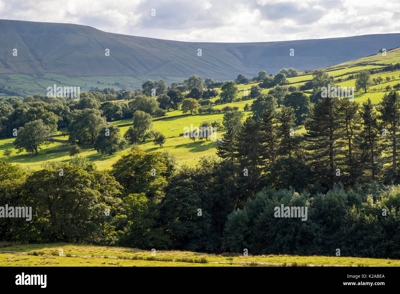Campagna britannica. Alberi, campi e colline in una serata estiva in Valle di Edale, Derbyshire, Parco Nazionale di Peak District, England, Regno Unito Foto Stock