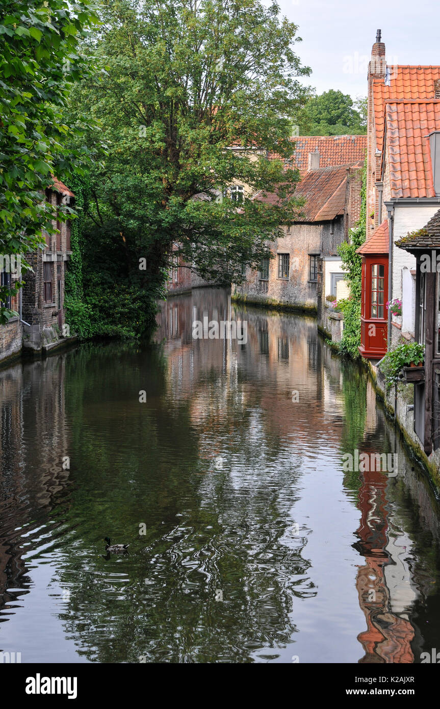 Vista lungo la calma le acque di un piccolo canale da un ponte a brugge / Bruges in Belgio con canal-side case e le loro riflessioni in estate il sole Foto Stock