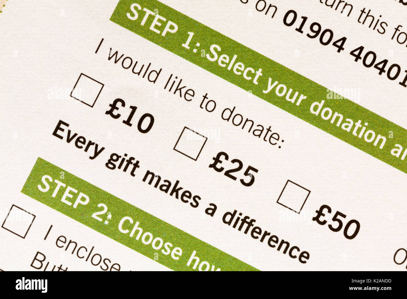 Dettaglio sulla carità modulo di donazione - Vorrei donare con caselle di spunta per £10, £25, £50 - ogni dono fa la differenza Foto Stock