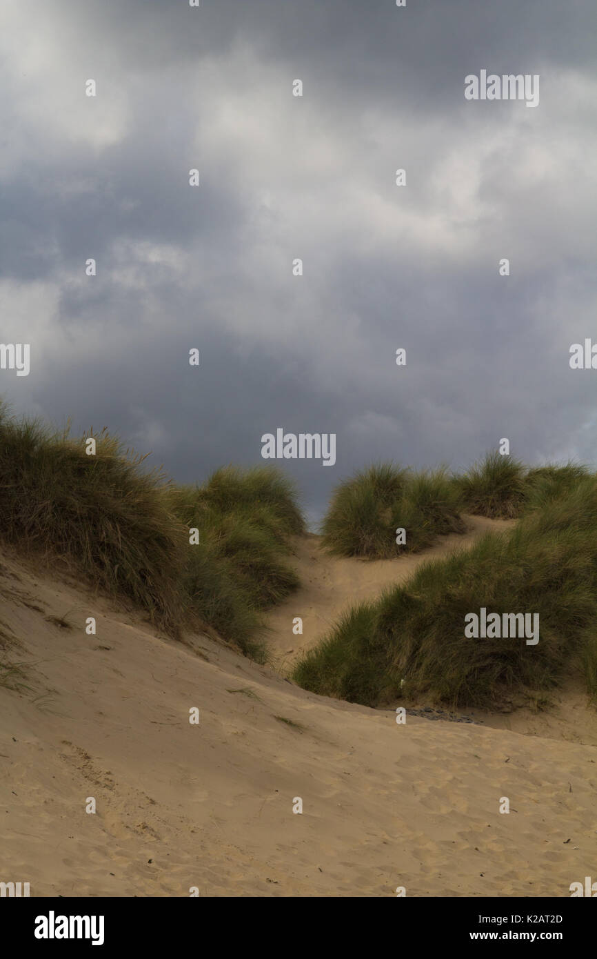 Le dune a Teesmouth Riserva Naturale Nazionale Foto Stock