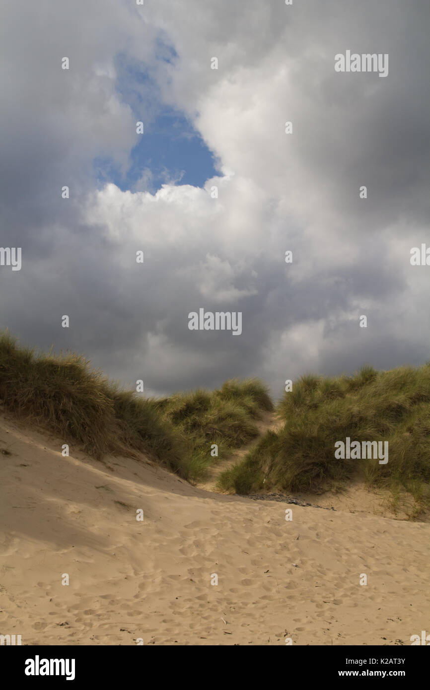 Le dune a Teesmouth Riserva Naturale Nazionale Foto Stock