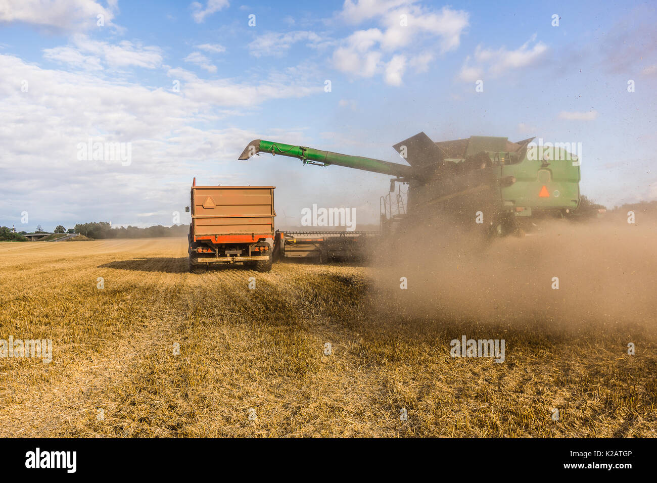 Mietitrebbia di grandi dimensioni in un campo giallo, raccolta in Borkop , Danimarca , 27 Agosto 2017 Foto Stock