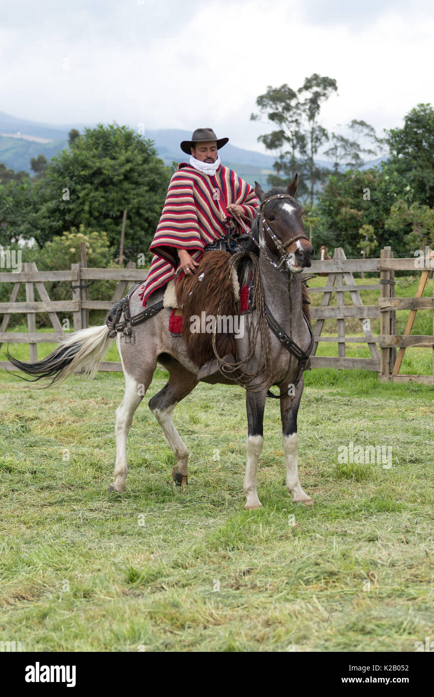 Giugno 3, 2017 Machachi, Ecuador: cowboy indossando un peloso chaps e tradizionali poncho a righe a cavallo Foto Stock