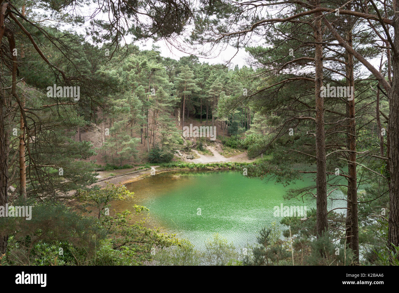 La piscina blu, Furzebrook, Dorset, Regno Unito, 2017. Foto Stock