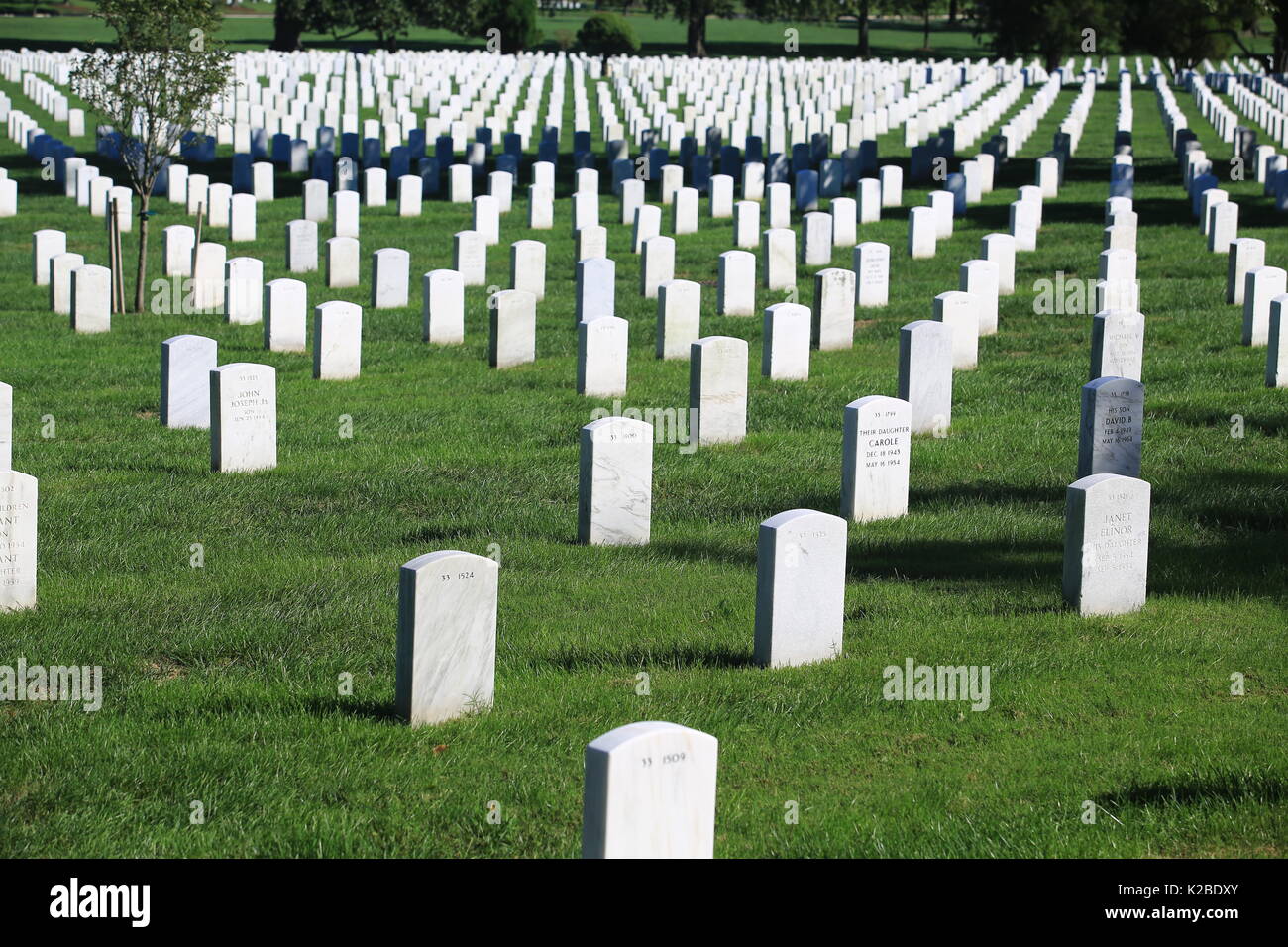Al Cimitero Nazionale di Arlington militare degli Stati Uniti nel cimitero di Arlington County, Virginia Foto Stock