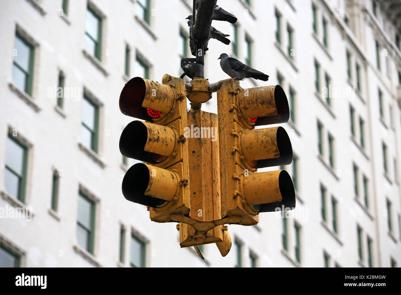 United Nation in nyc cartello stradale nella parte anteriore del quartier generale delle Nazioni unite Foto Stock