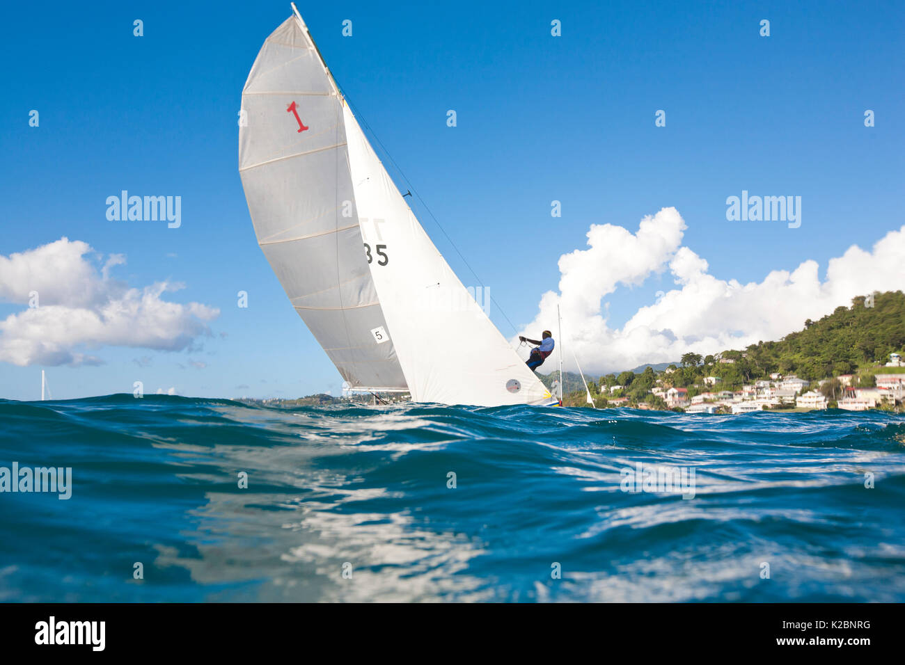 Sailor trapezing durante il festival di vela in Grenada, West Indies. Febbraio 2011. Foto Stock