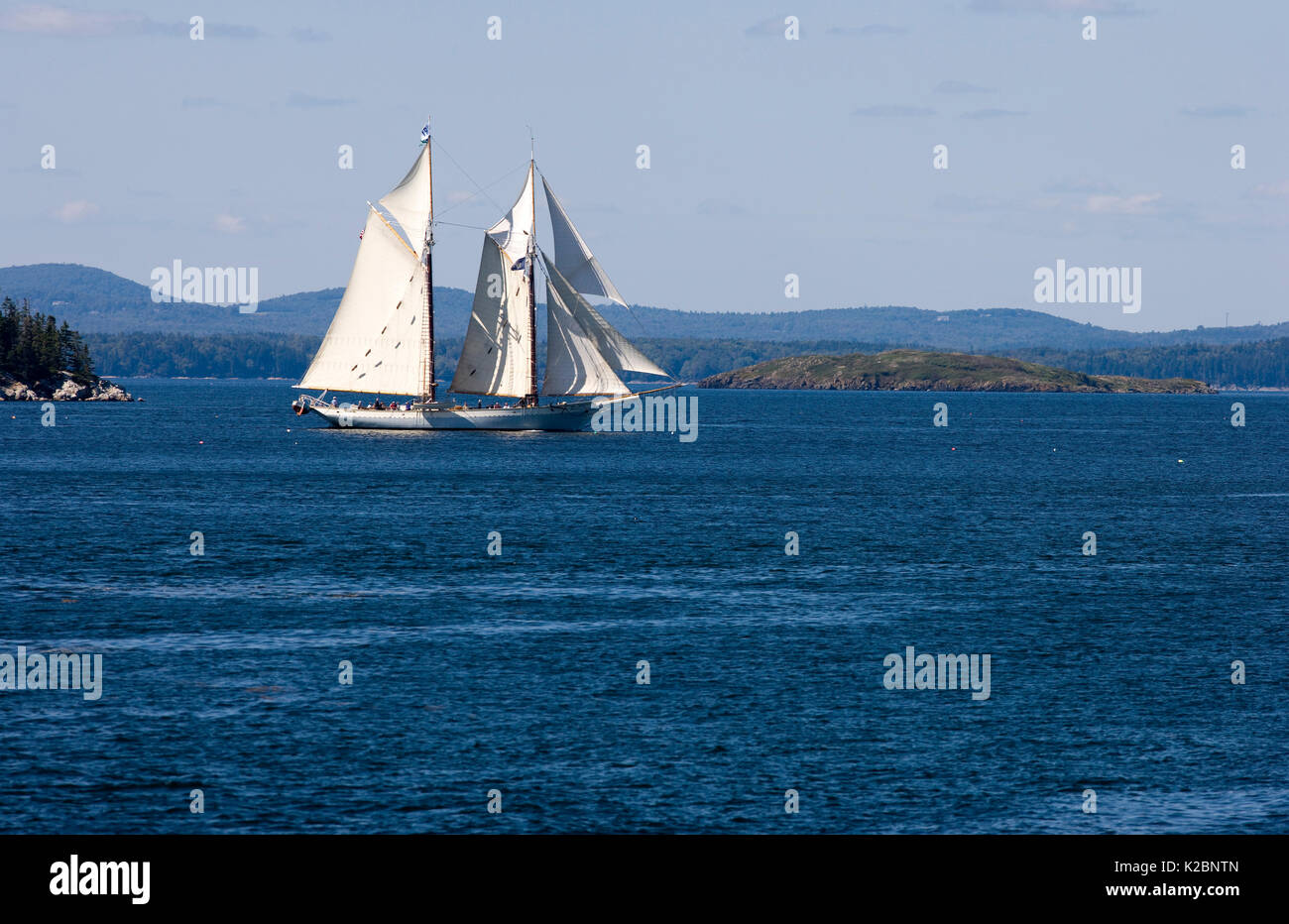 Yacht lungo la costa del Maine, Stati Uniti d'America, settembre 2008. Foto Stock