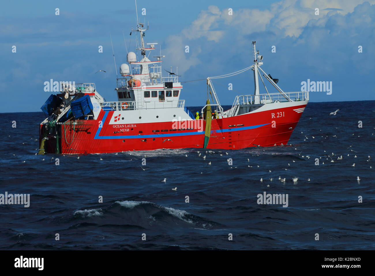 Peschereccio danese "Ocean Laura' che operano nel Mare del Nord, settembre 2015. Foto Stock