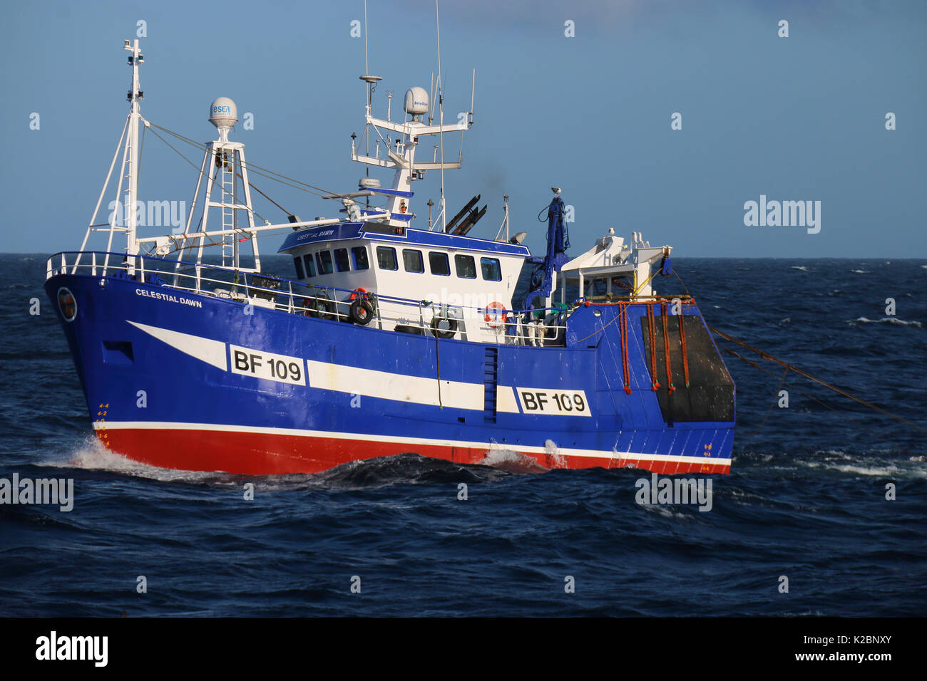 Peschereccio alba celeste la pesca di langoustineon il Mare del Nord.Giugno 2015. Foto Stock