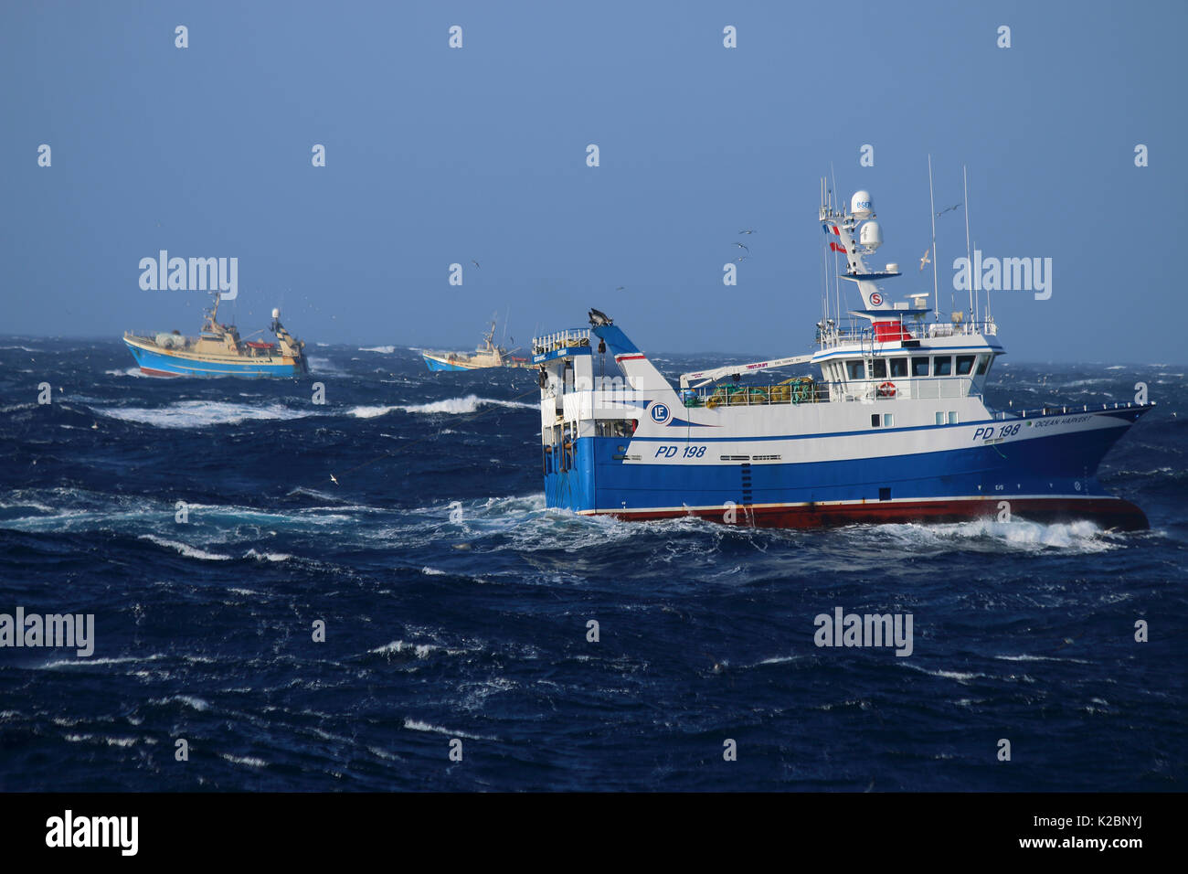 Peschereccio "Ocean Harvest " pesca in prossimità delle isole Faeroeer per le navi per la pesca a strascico sulla banca Suduroy, Isole Faerøer, aprile 2015. Proprietà rilasciato. Foto Stock