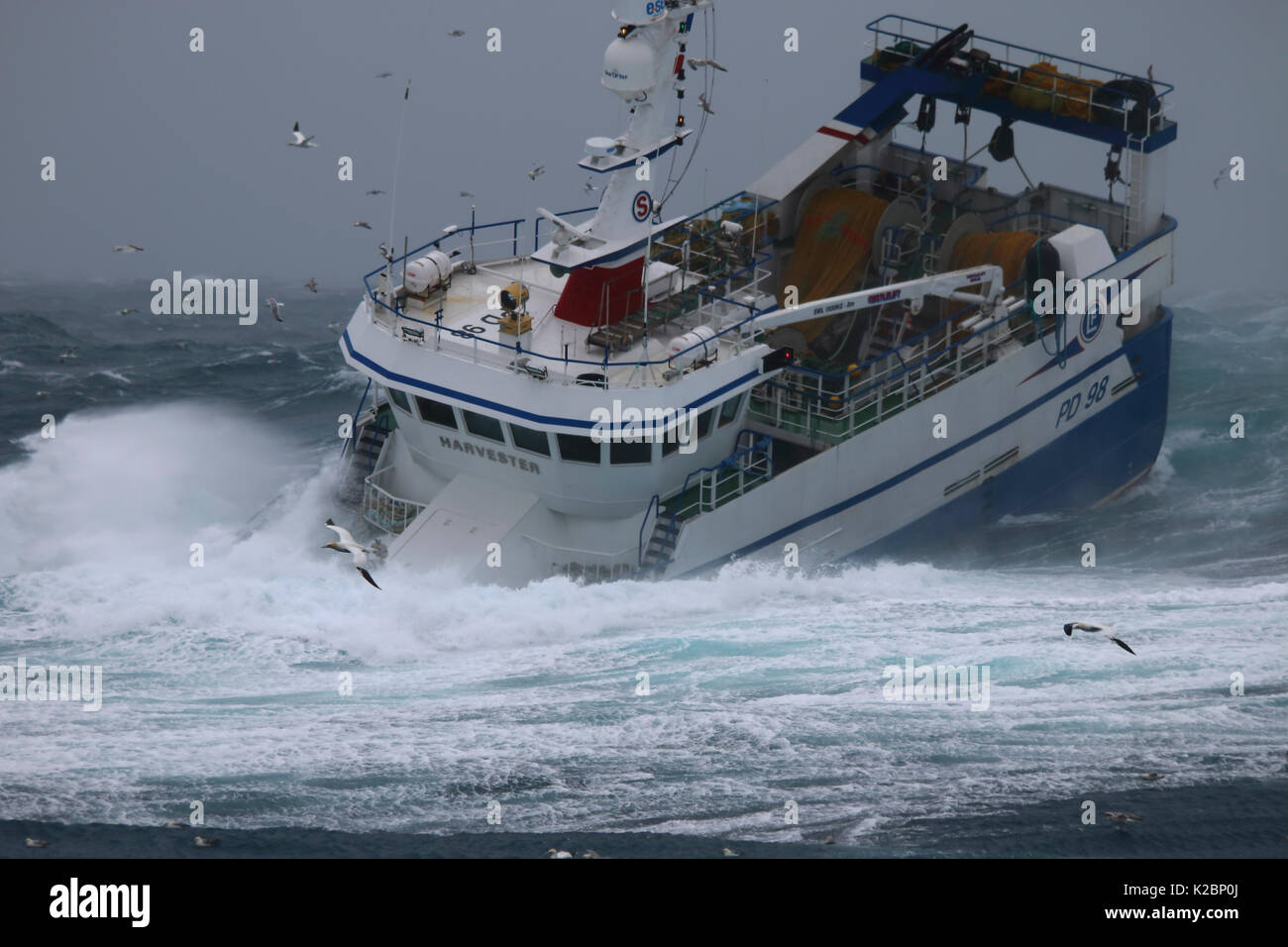 Peschereccio 'Harvester' combattendo in una tempesta di neve sul Mare del Nord, febbraio 2016. Proprietà rilasciato. Foto Stock