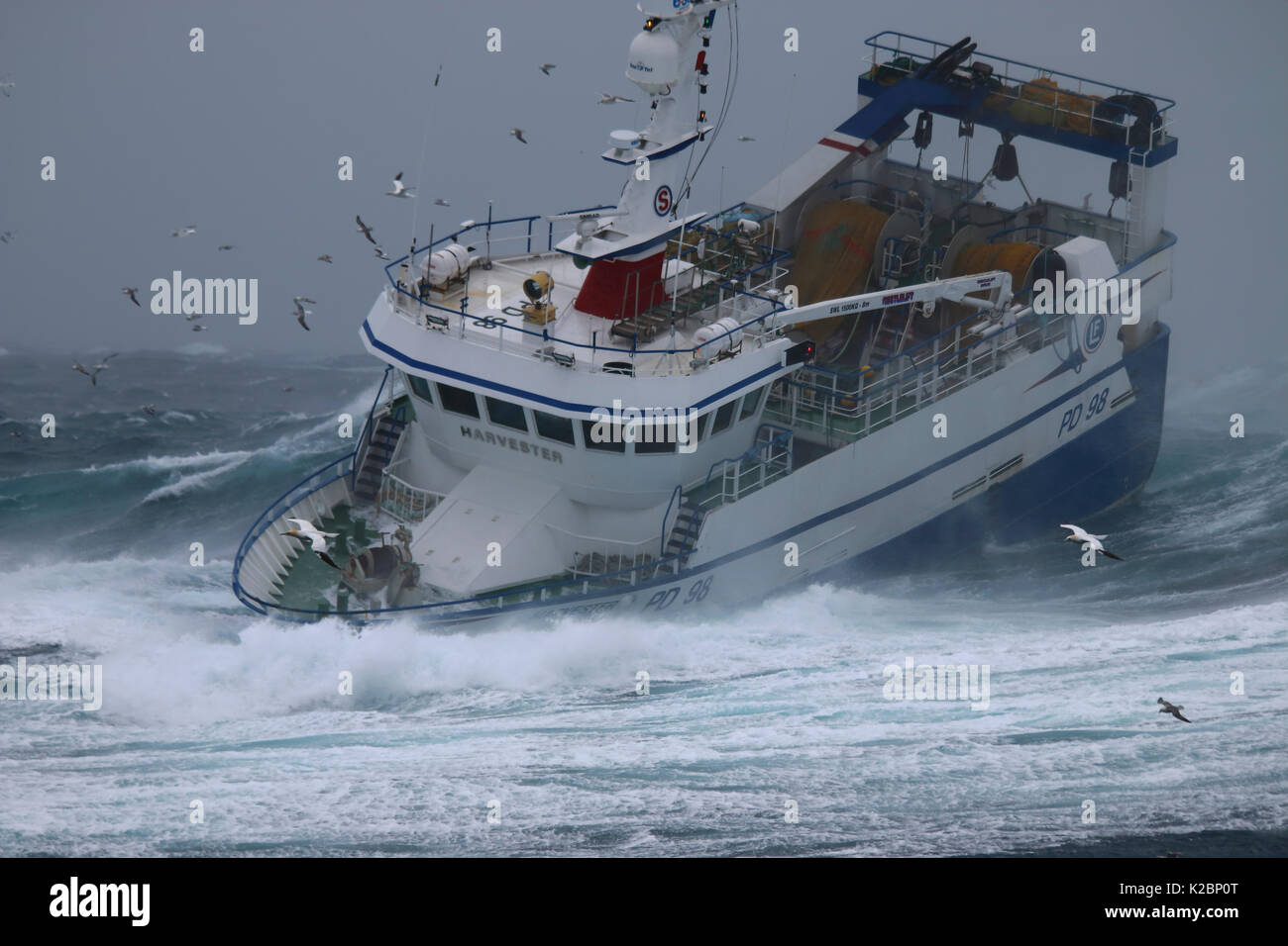 Peschereccio 'Harvester' combattendo in una tempesta di neve sul Mare del Nord, febbraio 2016. Proprietà rilasciato. Foto Stock