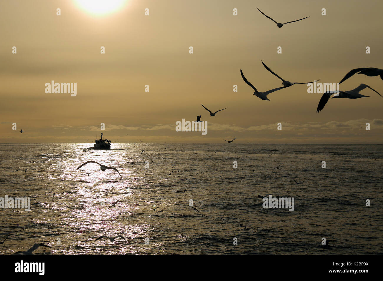 Impostazione di Sun con la nave da pesca in direzione di Porto. Mare del Nord, febbraio 2016. Foto Stock